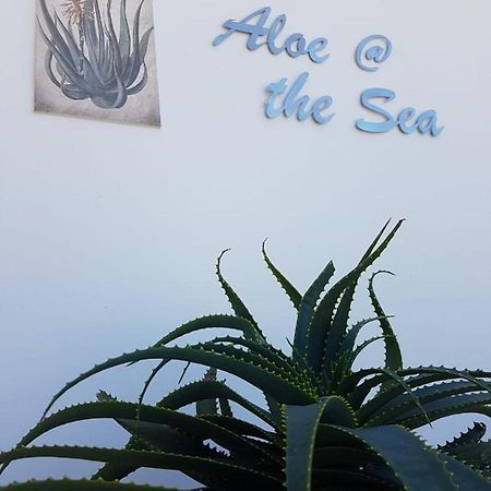 Aloe @ The Sea Lägenhet Mossel Bay Exteriör bild