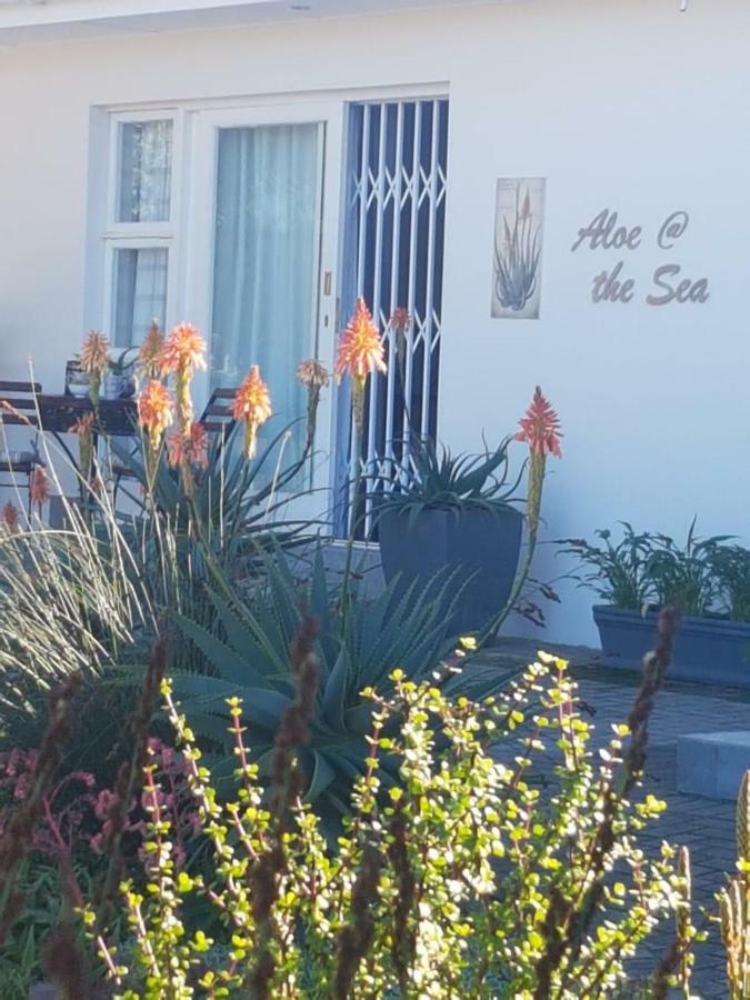 Aloe @ The Sea Lägenhet Mossel Bay Exteriör bild