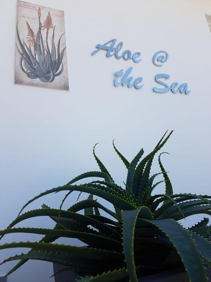 Aloe @ The Sea Lägenhet Mossel Bay Exteriör bild